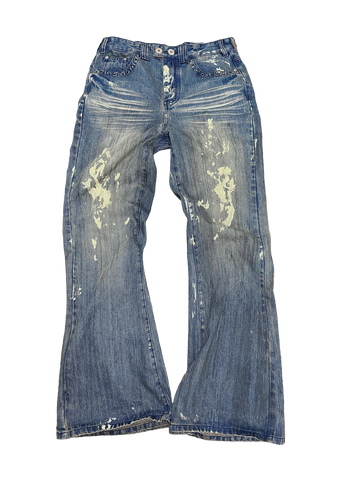 DENIMS